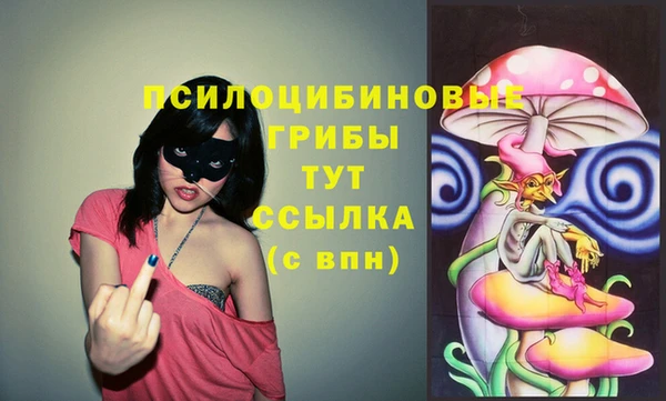 твердый Абинск