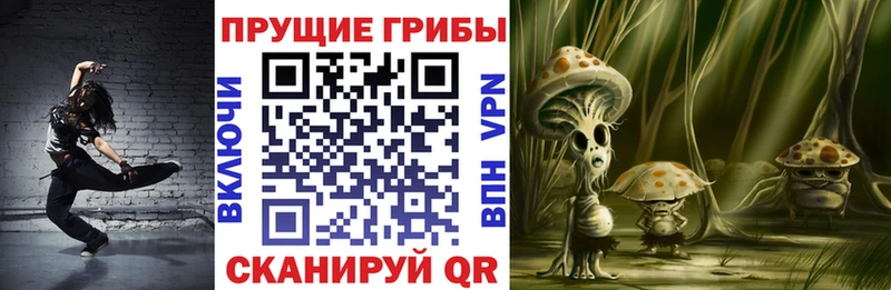 где найти наркотики Цоци-Юрт Псилоцибиновые грибы Psilocybe